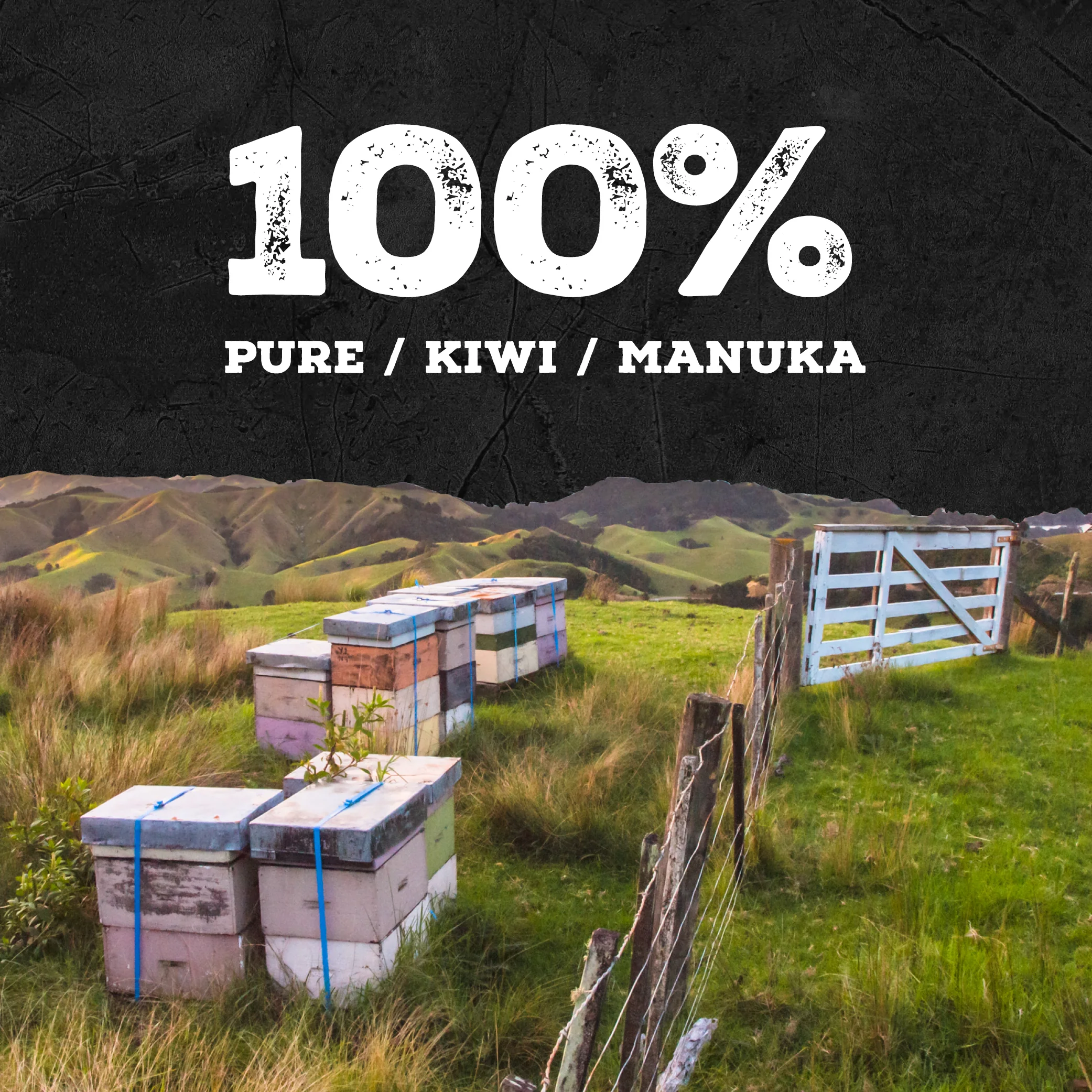 600 MGO Manuka Honey 250g - Image 8