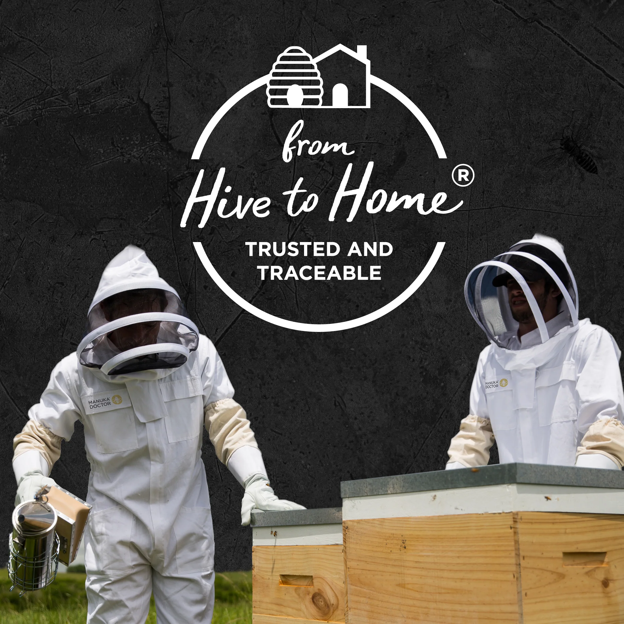 1100 MGO Manuka Honey 250g - Monofloral - Image 12