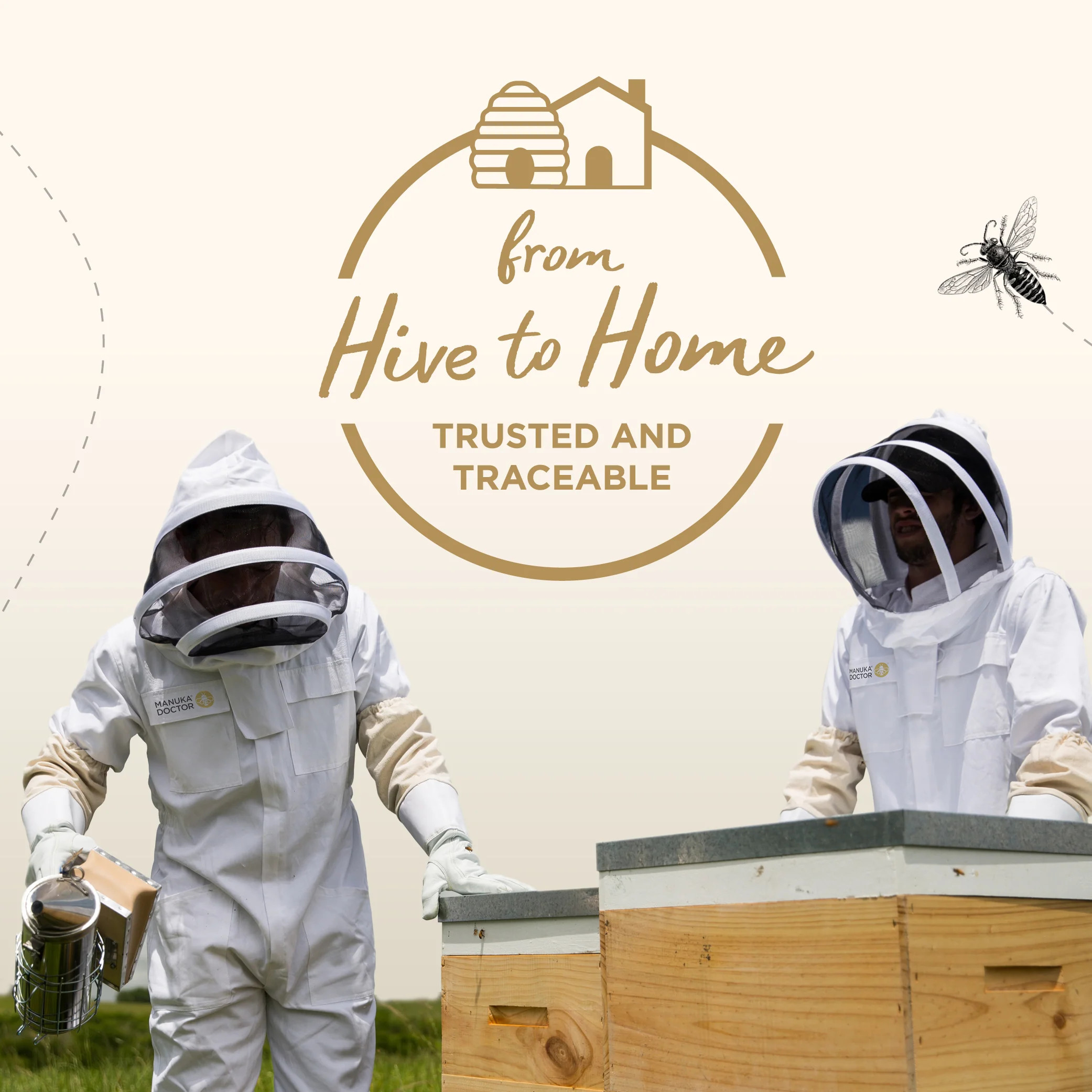 340 MGO Manuka Honey 250g - Monofloral - Image 12