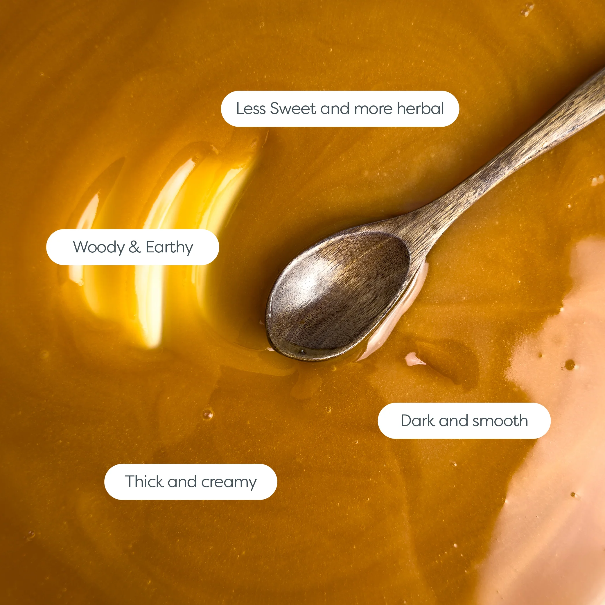 340 MGO Manuka Honey 250g - Monofloral - Image 6