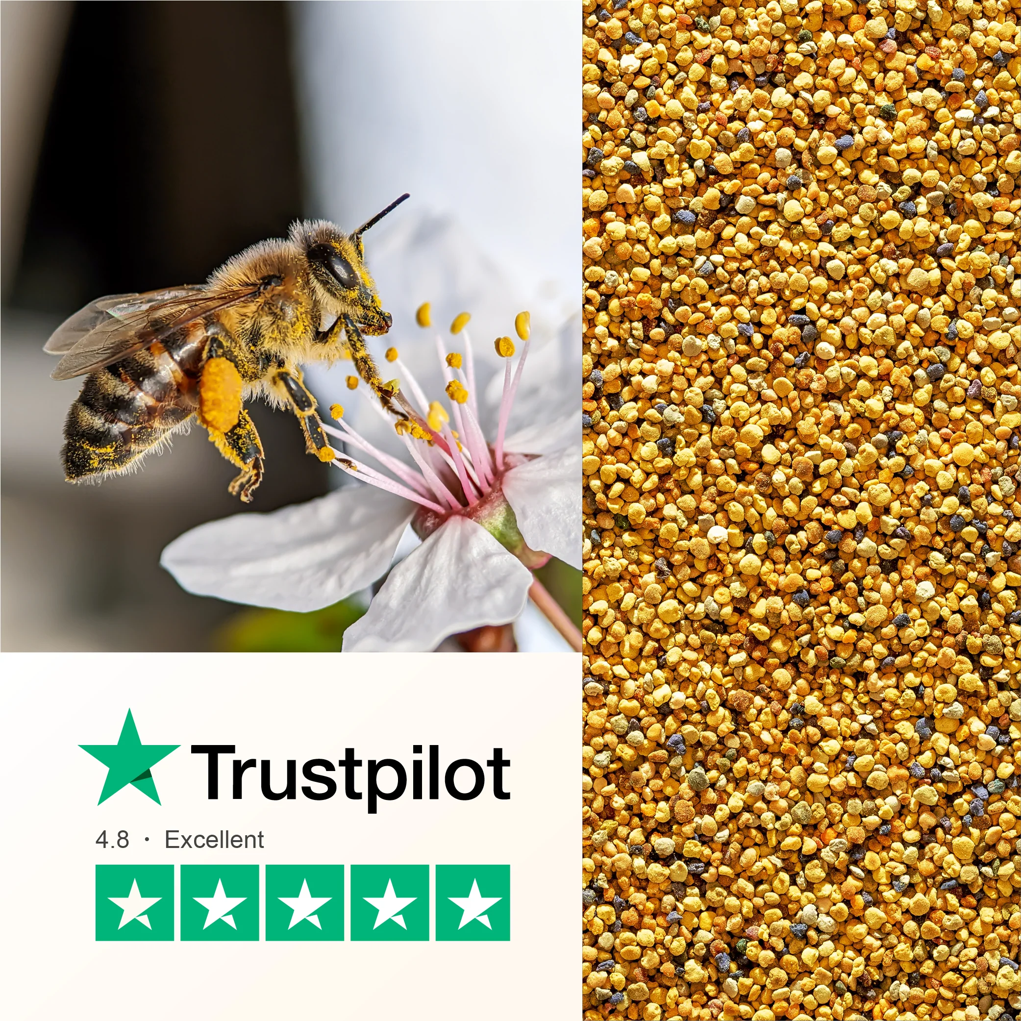Bee Pollen 150g - Image 3